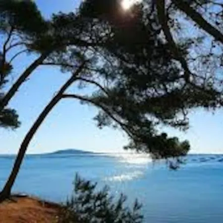 Appartement Cosy à 50 M De La Et Du Port Mèze